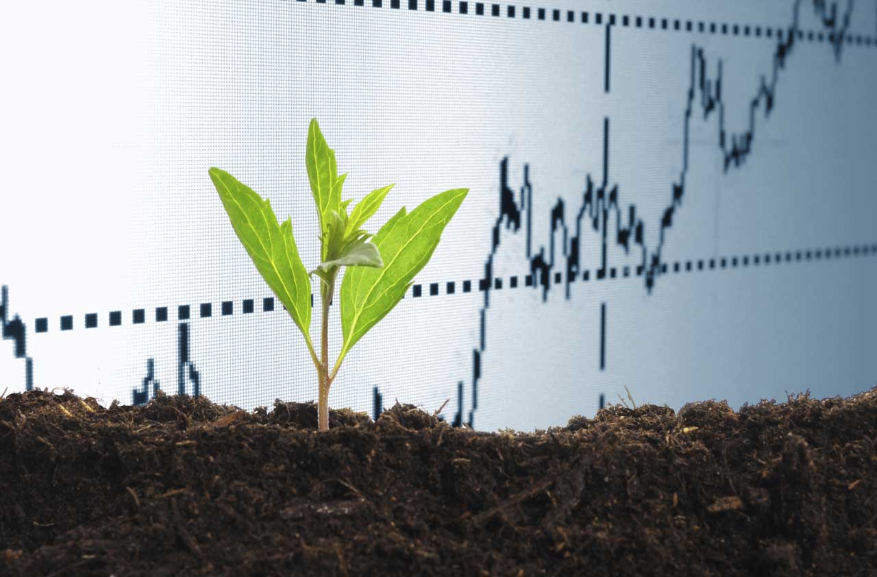 7 Great Socially Responsible Mutual Funds