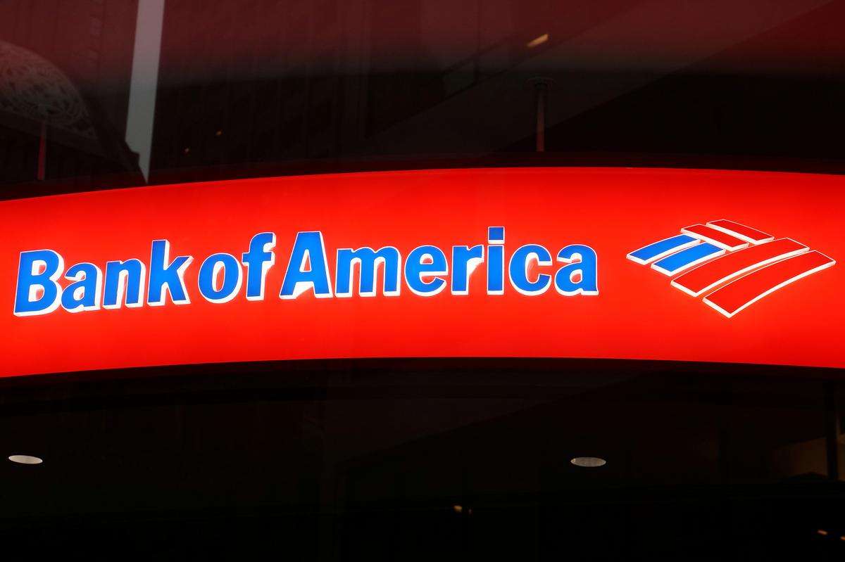 Bank of America names new co