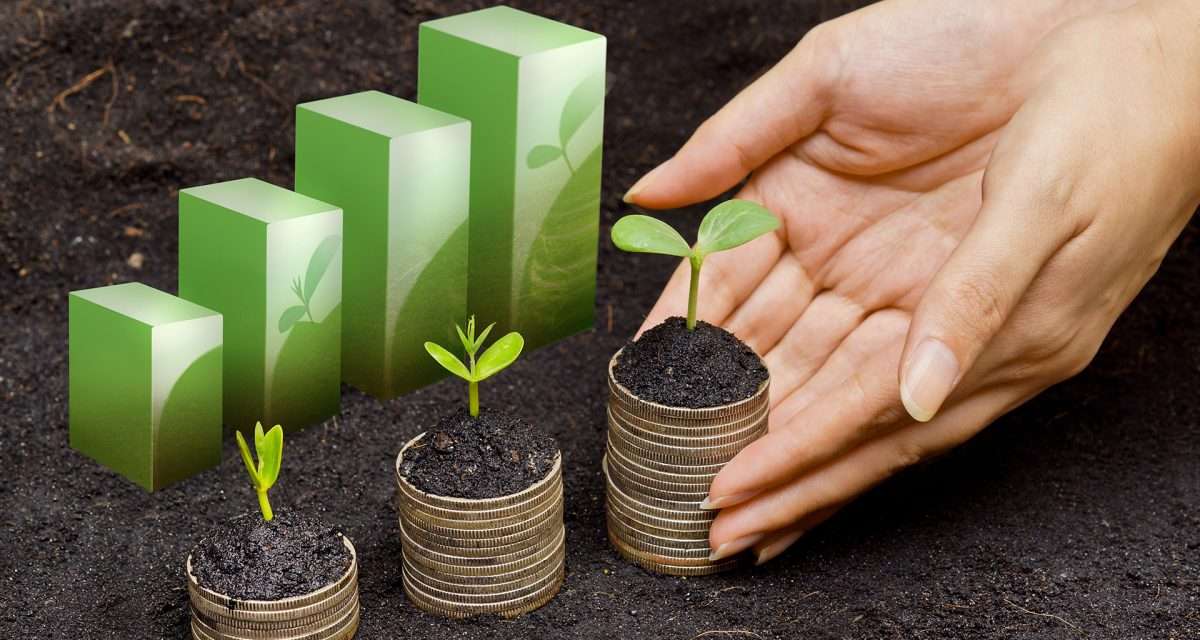 DCS Sustainable Growth Fund  investing in tomorrow