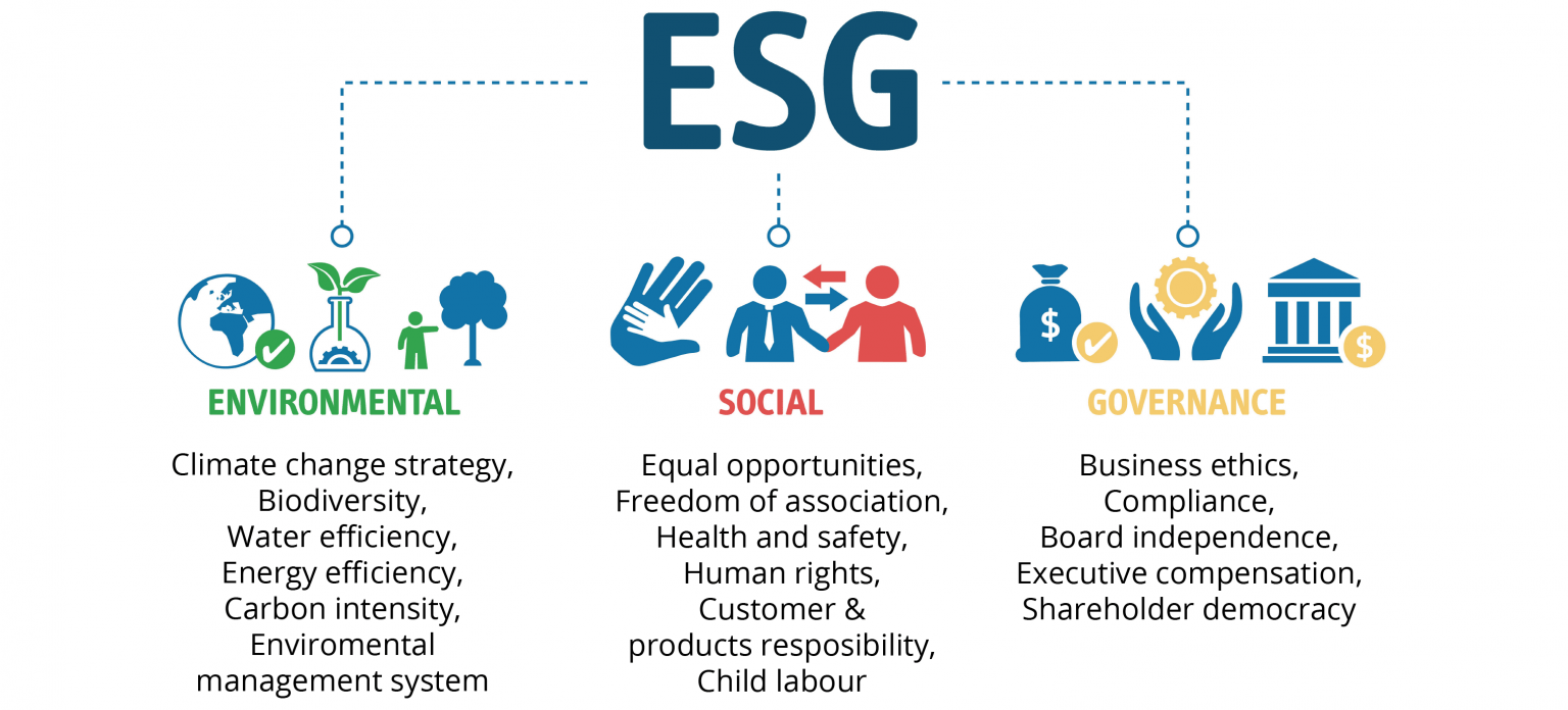 ESG Ratings: How can a business environmental and social impact be ...