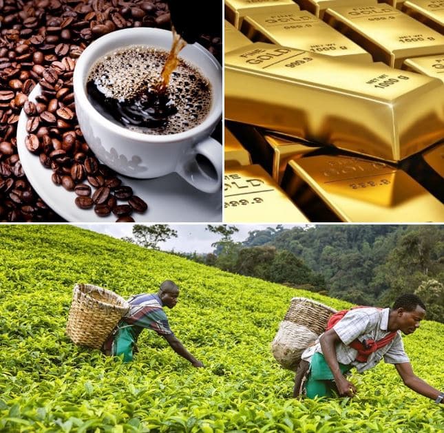 Gold, coffee and tea boost Tanzanias exports value