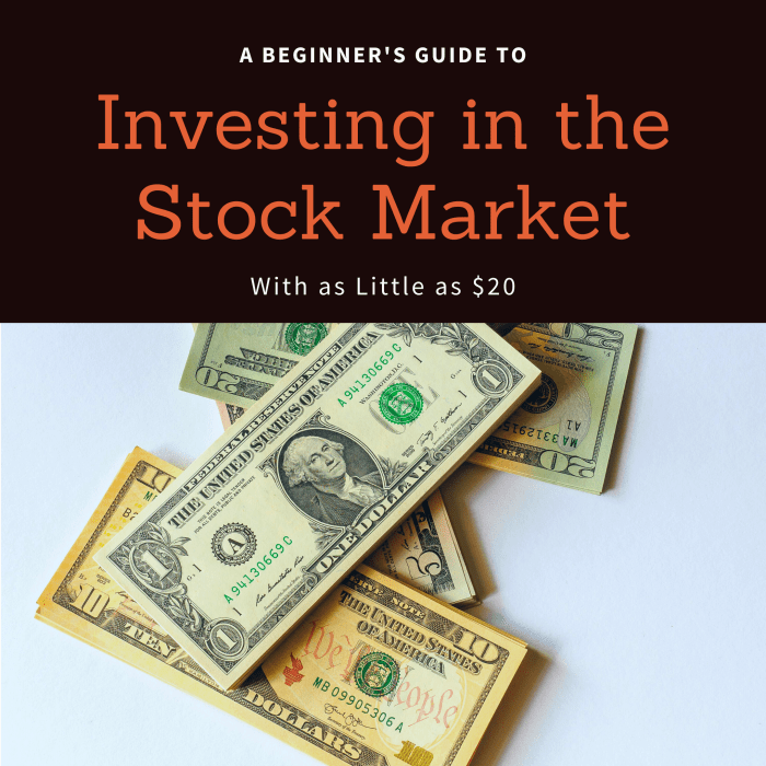 How to Start Investing in the Stock Market With Only $20
