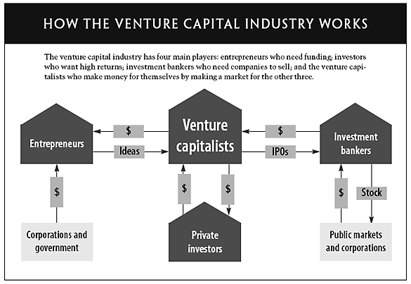 How Venture Capital Works