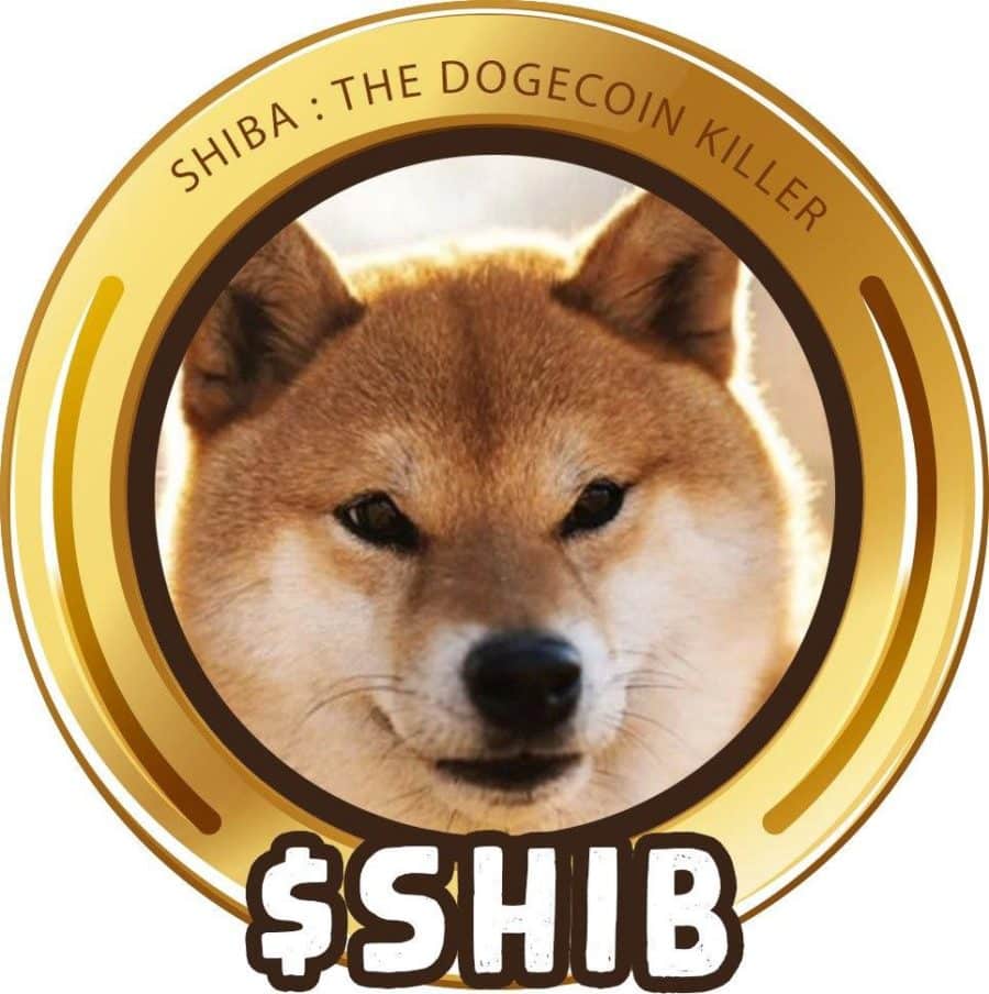 Is Shiba Inu (SHIB) a Good Investment?  Investment Overview  Benzinga ...