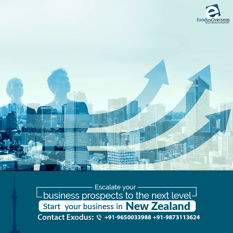 New Zealand is the perfect place to start or invest in a business ...
