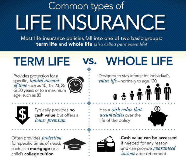 SG Budget Babe: Should I buy Term or Whole Life Insurance?