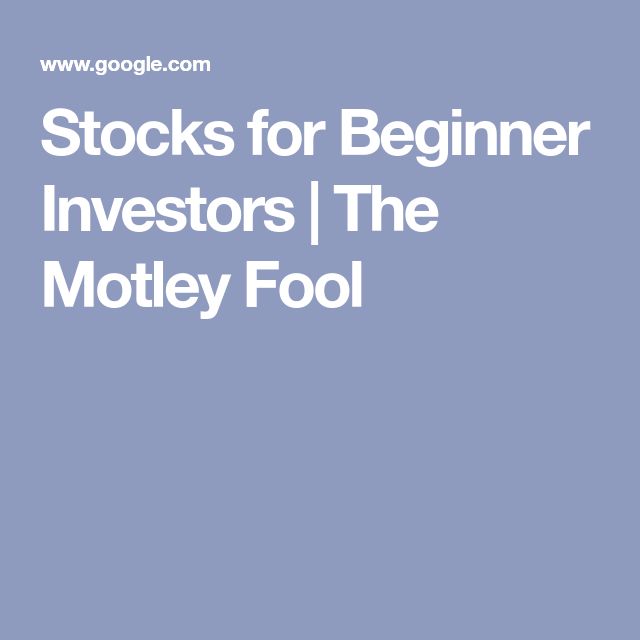 Stocks for Beginner Investors