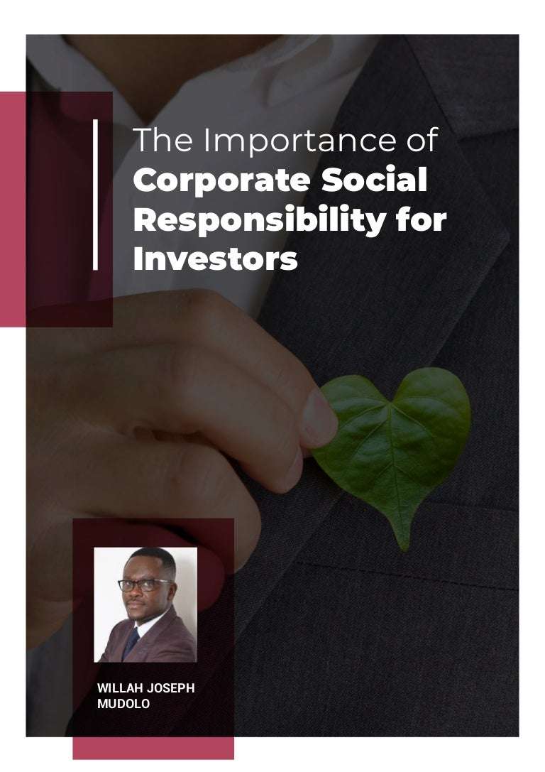 The Importance of Corporate Social Responsibility for ...