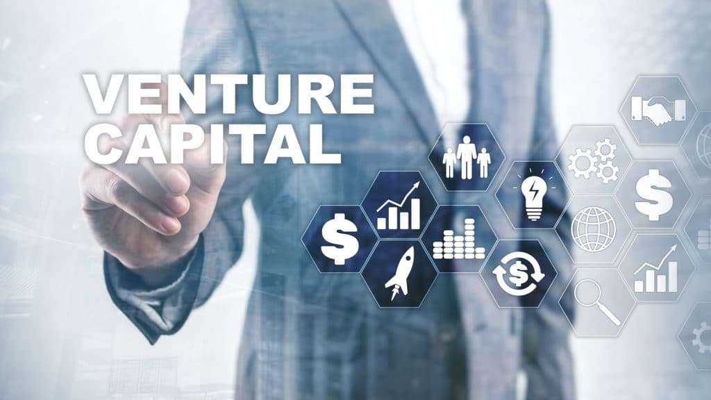 Venture Capital Ecosystem and Its Future  Witan World