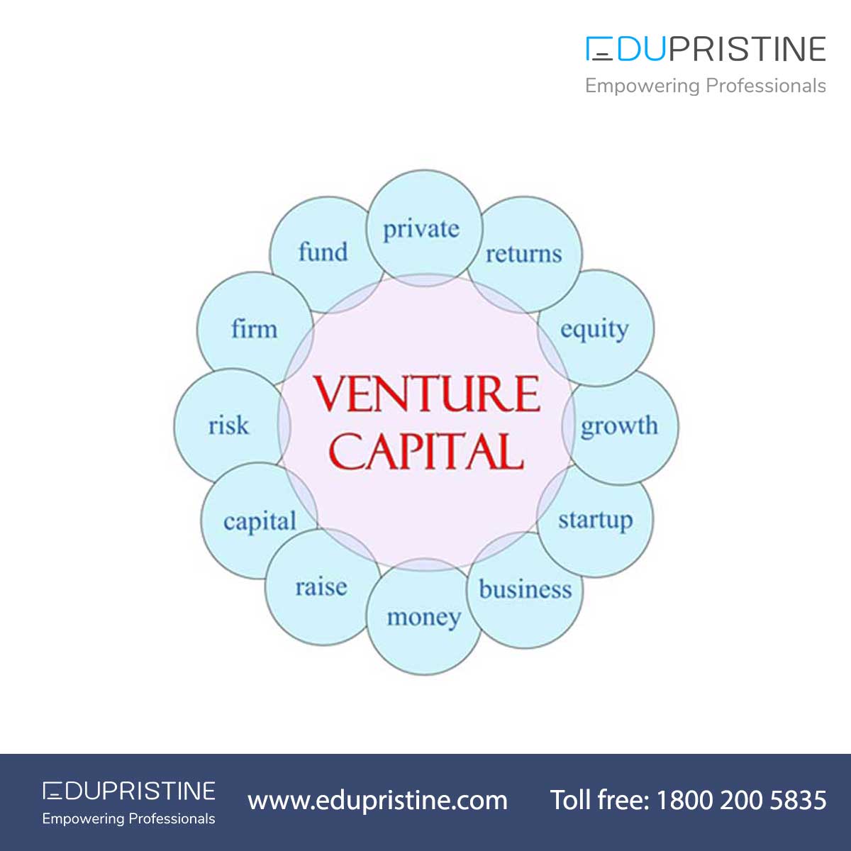 Venture Capital: Features, Types, Funding Process, Examples etc