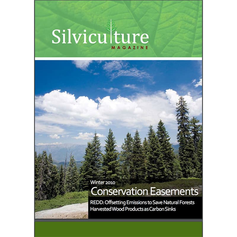 Working Forest Conservation Easements